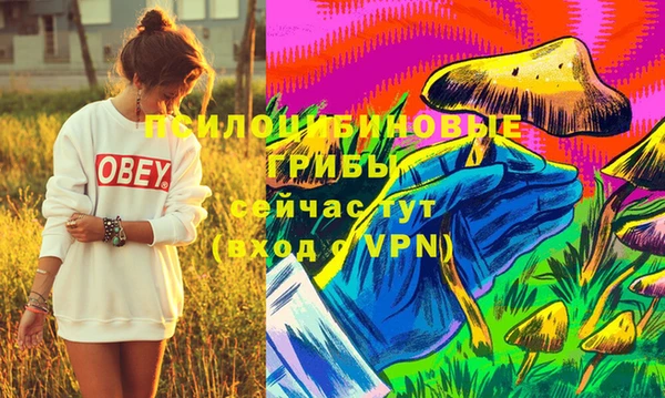 дурь Сафоново
